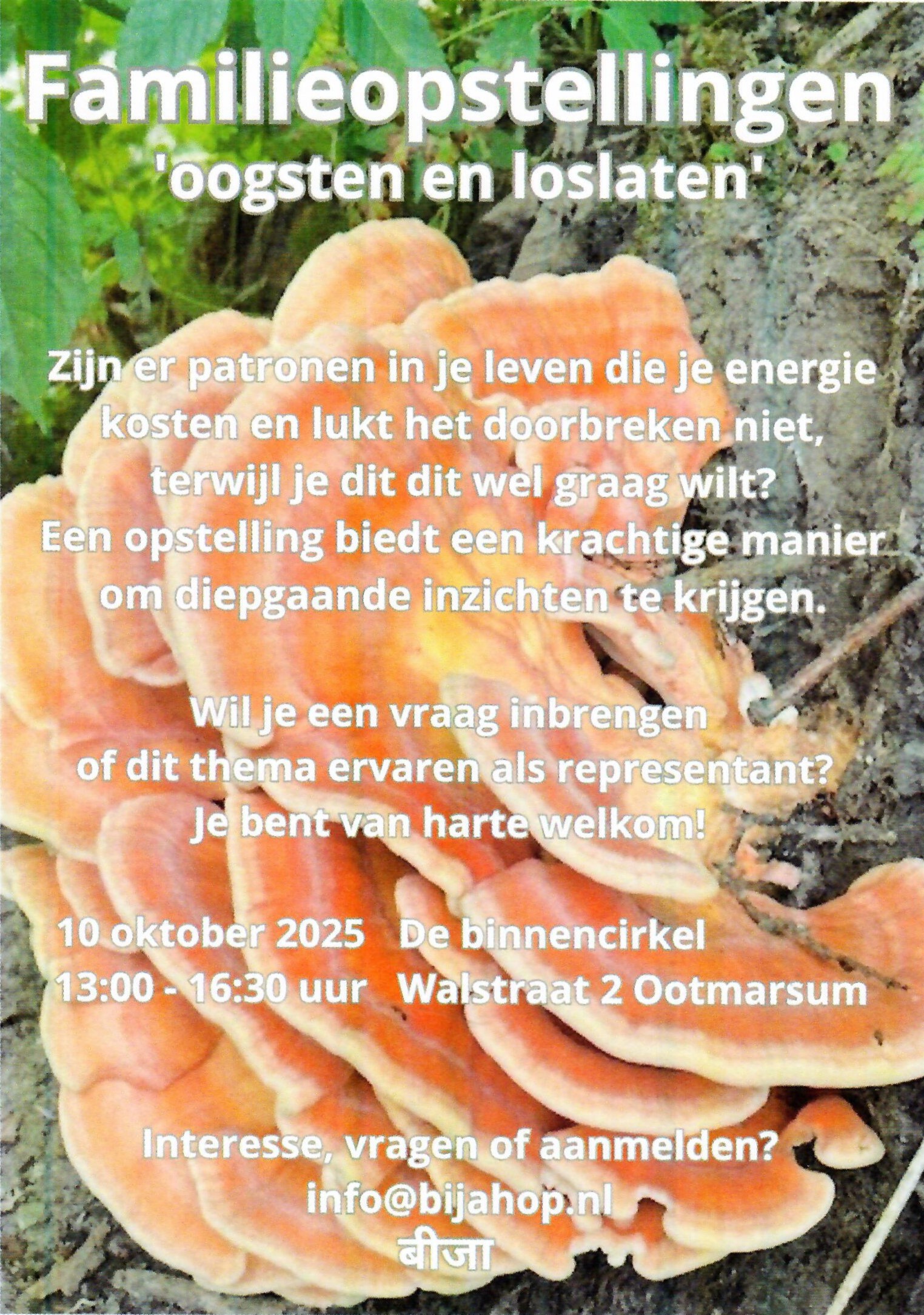 Familieopstellingen 'oogsten en loslaten' 10 oktober 2025, 13:00 - 16:30